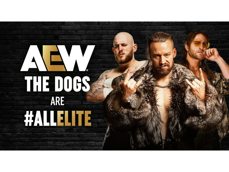 The Dogs Are All&nbsp;Elite